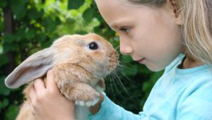 Fillette et lapin