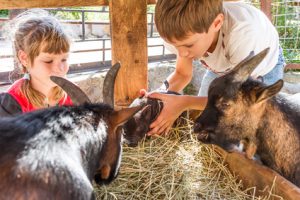 Enfants a la ferme