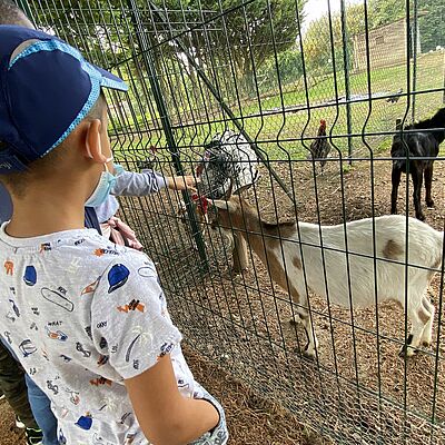 ferme pedagogique mantes la jolie