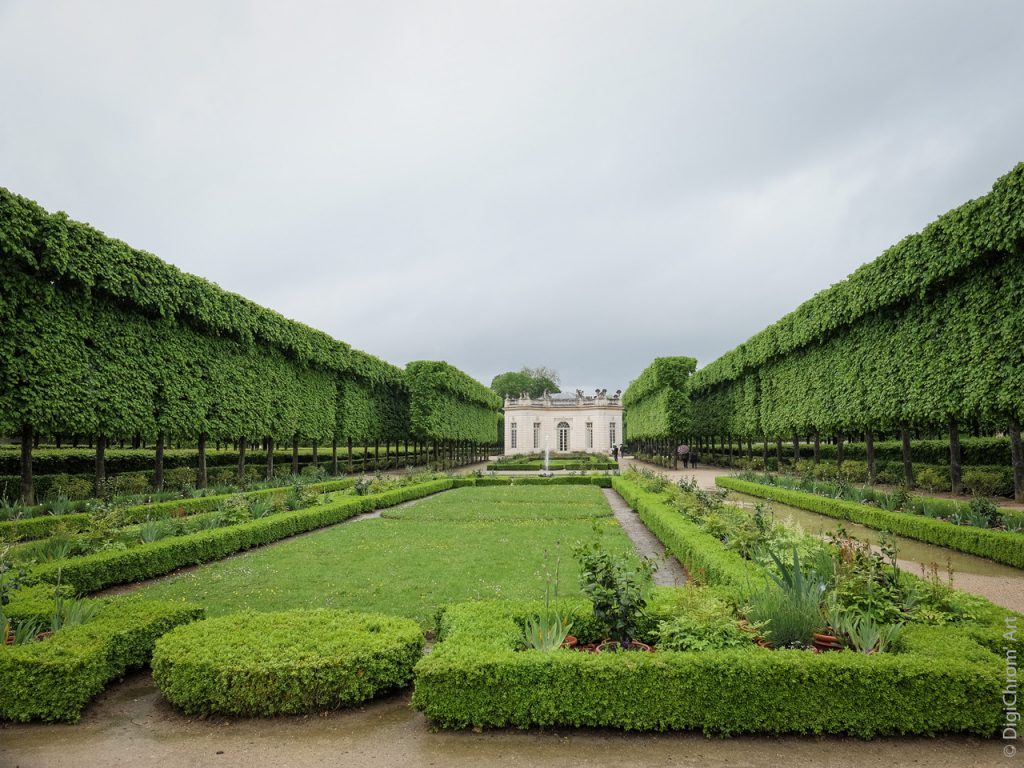 The little detectives Versailles