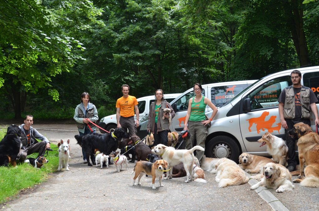 L'équipe doggies et compagnie