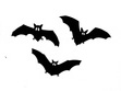 chauve souris halloween