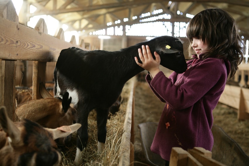 enfant a la ferme week end