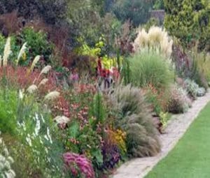 jardin fleurs a l' Ouest 2 Paris