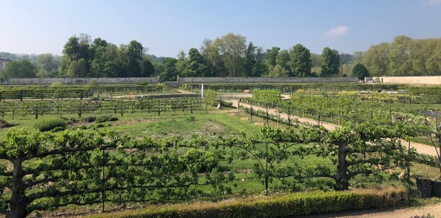 Le Potager du roi de Versailles