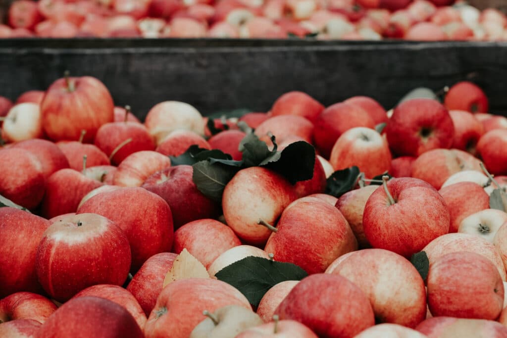 Ferme jus de pomme Ouest de paris