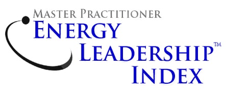 Energy Leadership index - Master Practitioner - Paris Ouest