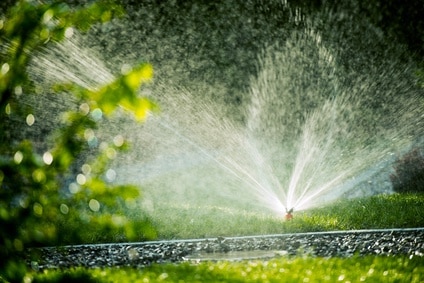 Jardinage ouest de paris