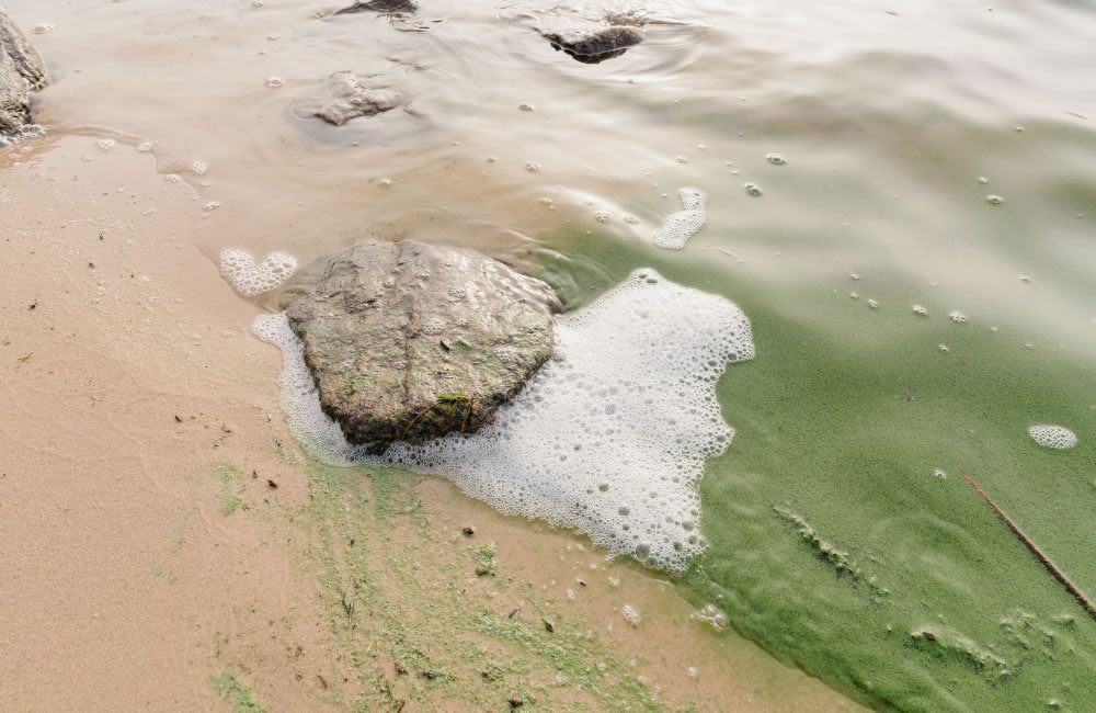 Pollution de l'eau à l'Ouest de Paris