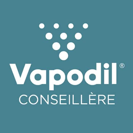 Vapodil Nettoyeur à Vapeur sèche