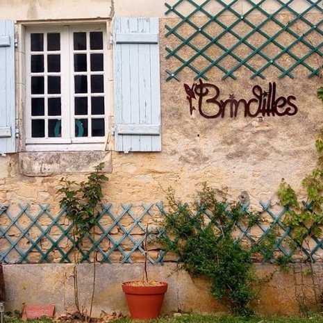 Brindilles à Carrieres sur Seine- Paris ouest