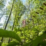 Indian Forest Yvelines - Accrobranche - Ouest de Paris