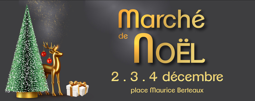 Marche de Noel à Chatou