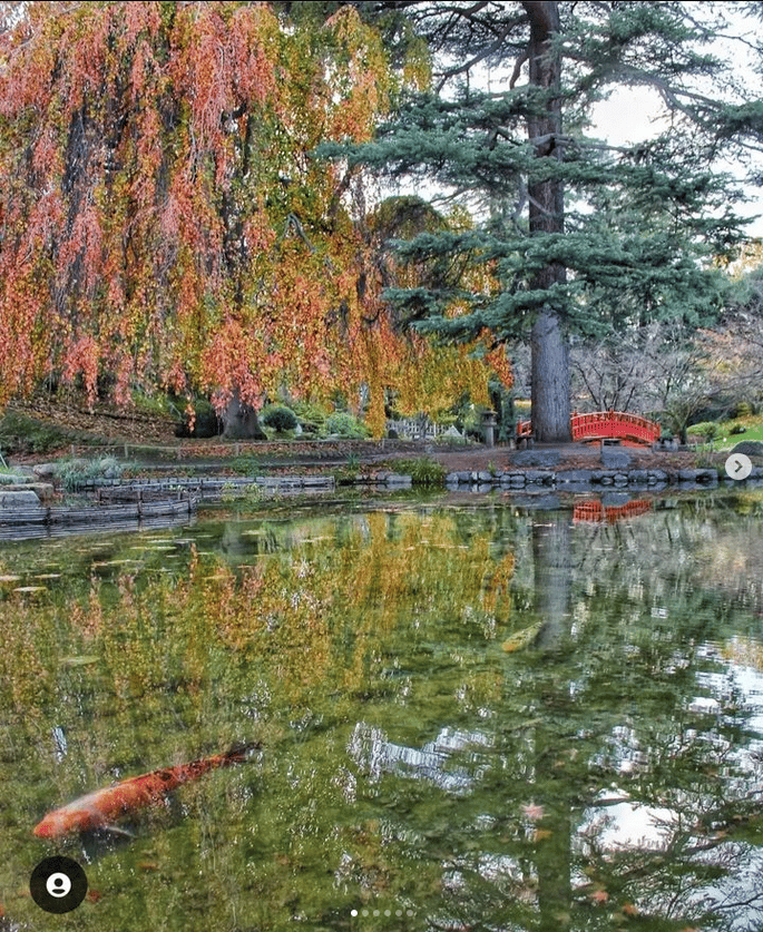 Les Jardin Albert Khan Boulogne Billancourt