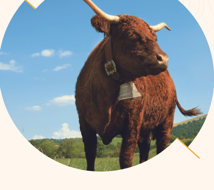 Salon de l'agriculture 2023 paris porte de versailles