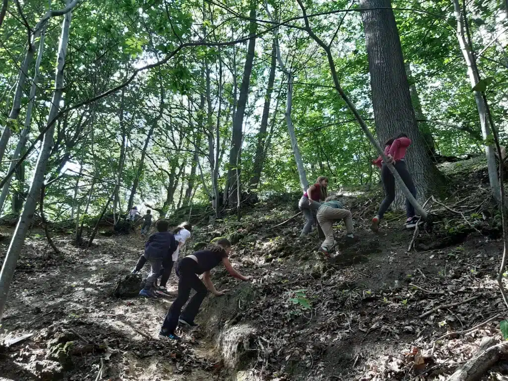 competences du 21 siècle - Paris ouest