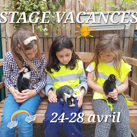 We love momes Versailles Stages vacances