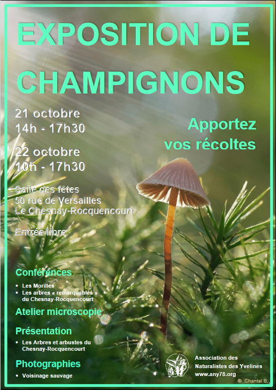 Exposition de Champignon Versailles