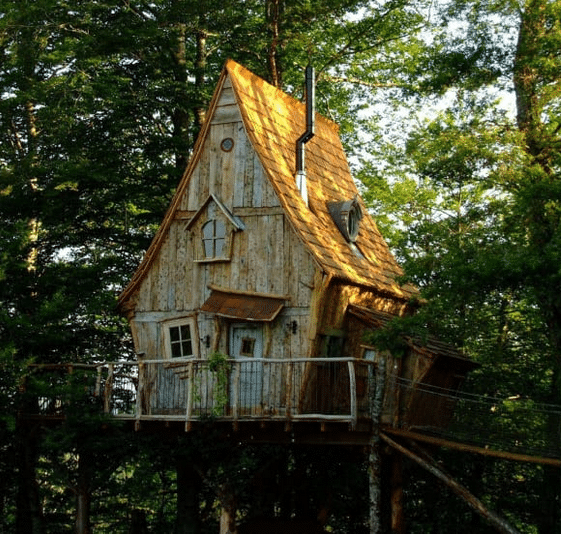 GreenGo - Cabane dans les arbres