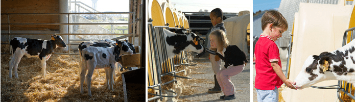 Visiter la ferme de Viltain Ouest de Paris