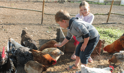 Malowe Nature - Ferme pédagogique
