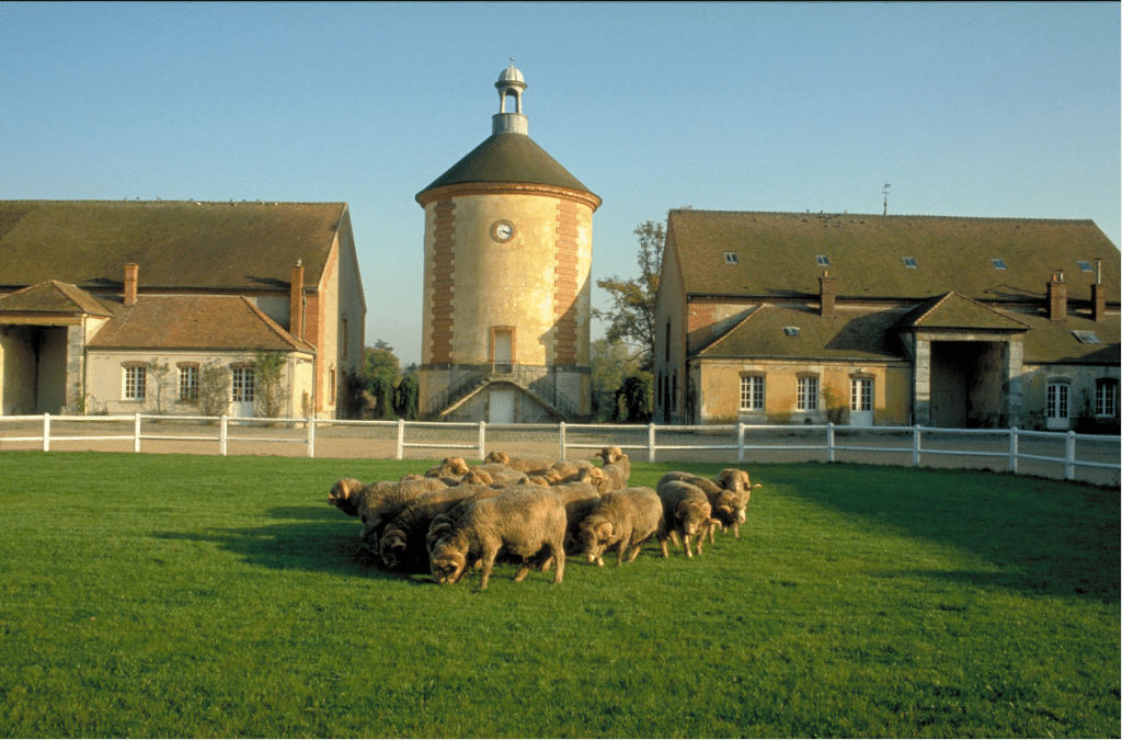 Bergerie Nationale Rambouillet Paris Ouest