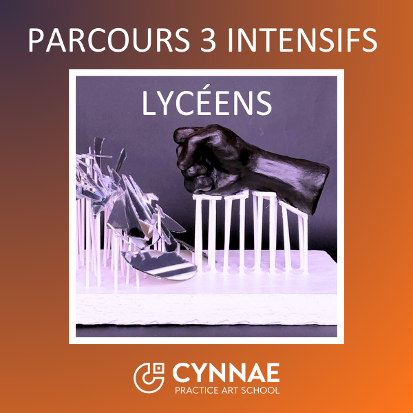 Cynnae parcours intensif lyceens ouest de Paris