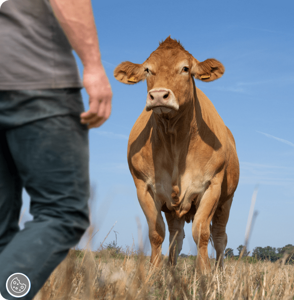 Salon de l' agriculture -Oupette la vache égérie le Salon en famille !