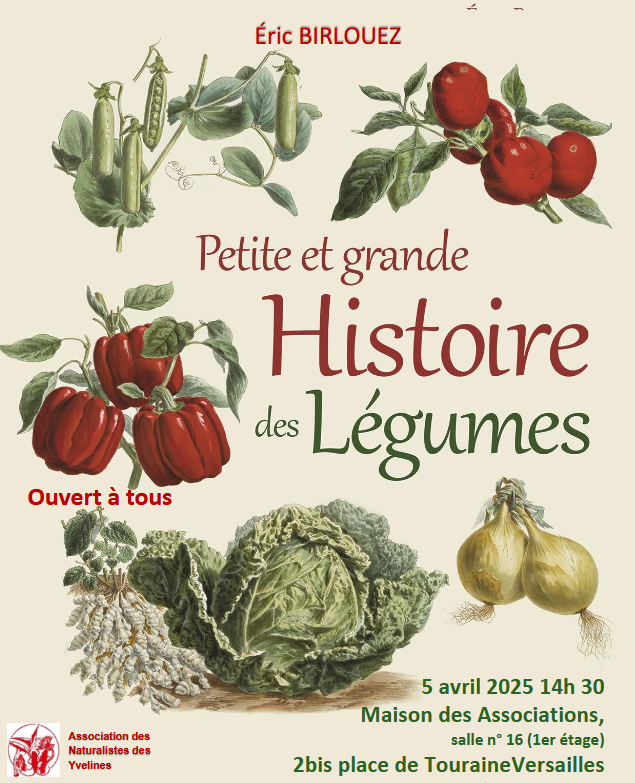ANY Petites et grands histoire de legumes