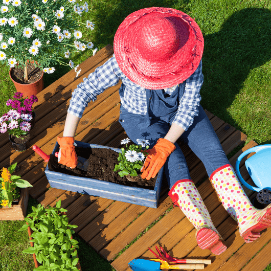 atelier semis jardinage ouest de paris