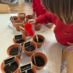 Trillium International School Marly le Roi