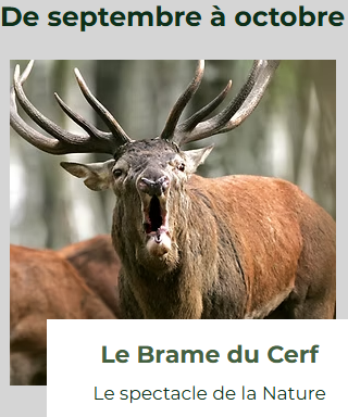 5 Espace Rambouillet Septembre Octobre
