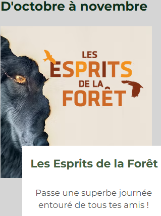 6 Espace Rambouillet Octobre Novembre